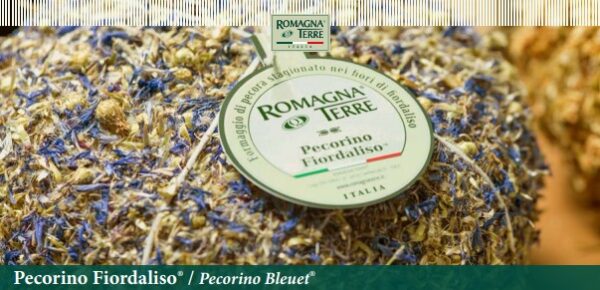 1164-Pecorino-Fiordaliso-2